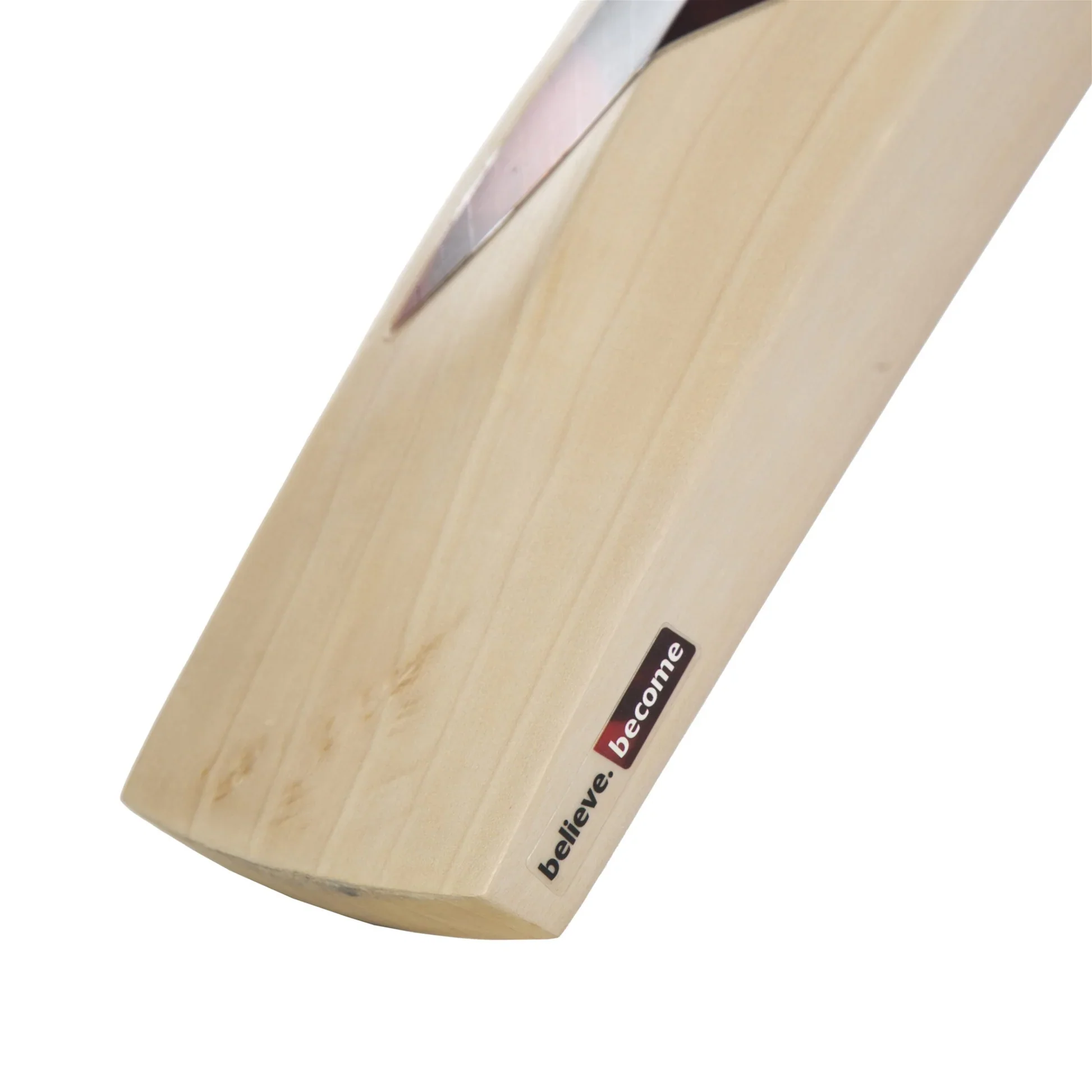 Cricket Bat SG SUNNY TONNY ICON(2024) - Image 4
