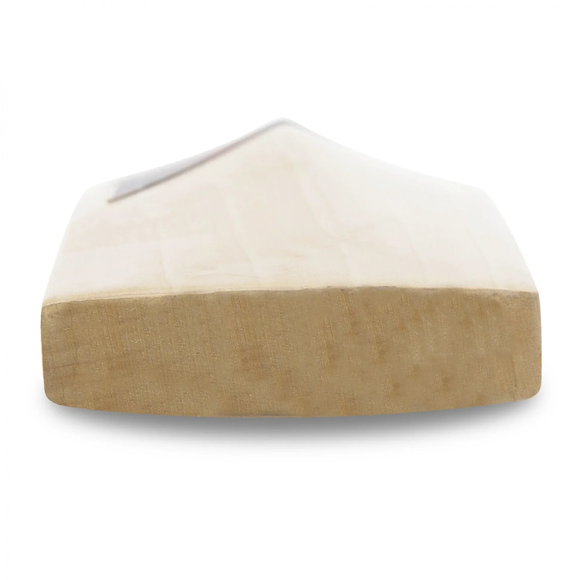 Cricket Bat SG SUNNY TONNY ICON(2024) - Image 9