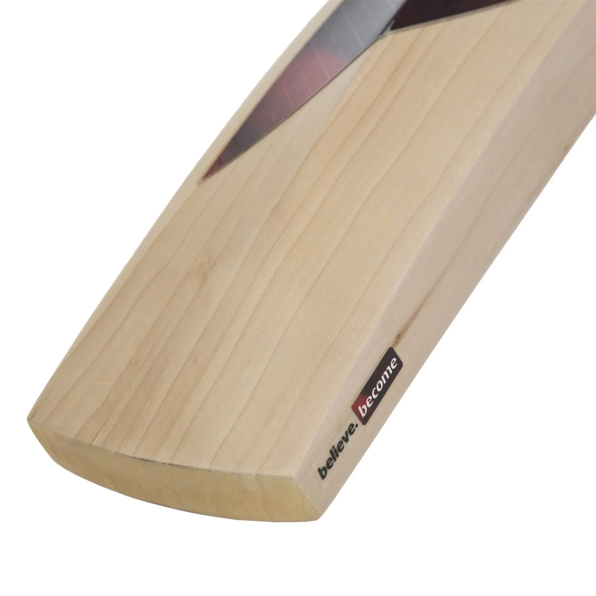 Cricket Bat SG SUNNY TONNY XTREME(2024) - Image 5