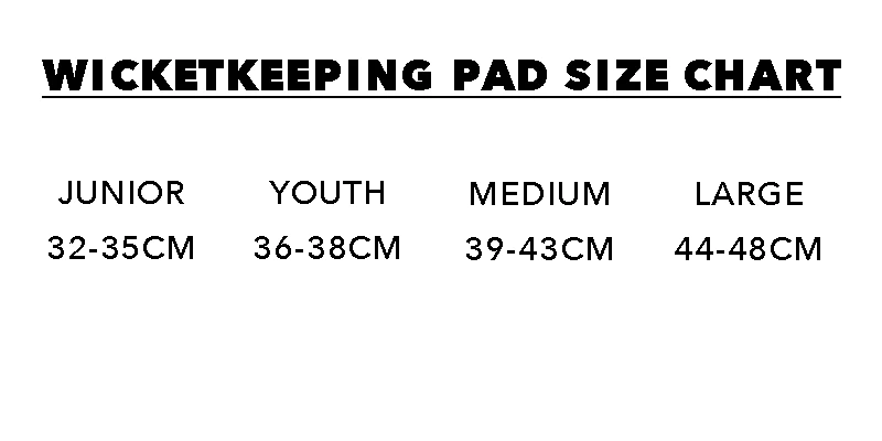 GRAY NICOLLS WICKET KEEPING STARTER PAD GN100 - Image 3