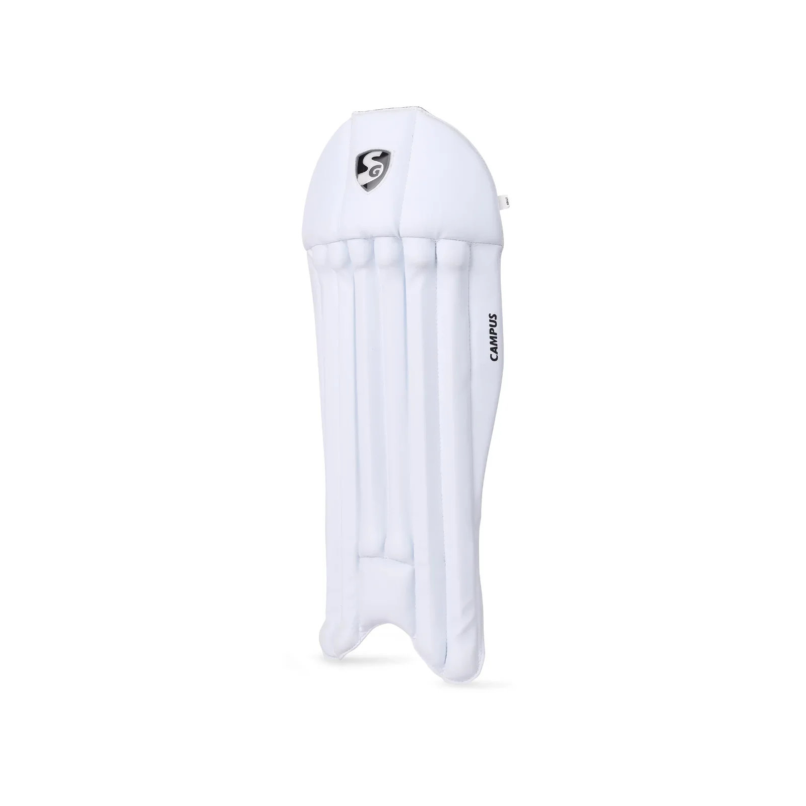 SG Campus Cricket Wicket keeping Leg-guard ( Wicket keeping Pad)(2024) - Image 3