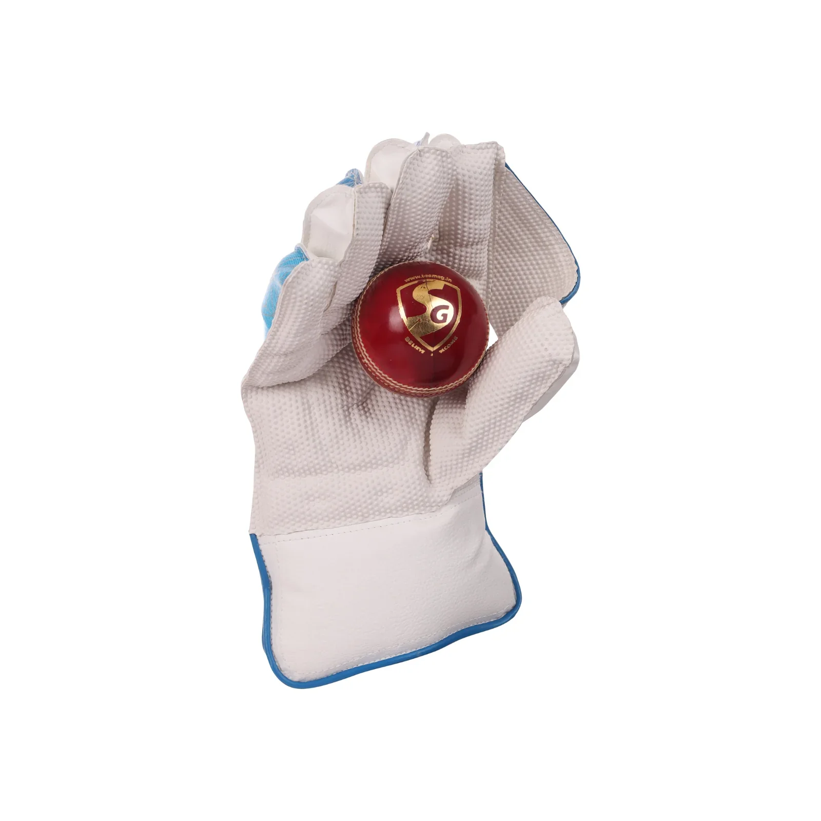 SG Tournament Wicket Keeping Gloves W.K. Gloves(2024) - Image 4